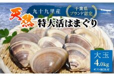 【千葉県ブランド認定】天然特大活はまぐり《4㎏》ギフトBOX付き ／ふるさと納税 はまぐり ハマグリ 蛤 貝類 魚介 海鮮 お吸い物 パスタ パエリア お歳暮 贈答 お祝い 千葉県 山武市 SMBO010