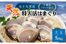 【千葉県ブランド認定】天然特大活はまぐり《5㎏》 ／ふるさと納税 はまぐり ハマグリ 蛤 貝類 魚介 海鮮 お吸い物 パスタ パエリア お歳暮 贈答 お祝い 千葉県 山武市 SMBO011