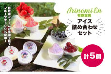 農園で育てたフルーツを100％使用! 有野実ファームのアイス詰め合わせセット 【 ふるさと納税 人気 おすすめ ランキング アイス シャーベット フルーツ 果物 果汁 100％ 千葉県山武市 送料無料 】SMN008