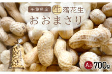 【先行受付・9月上旬より順次発送！】 おおまさり 生落花生 700g／ふるさと納税 落花生 生 生落花生 おおまさり 生おおまさり A品 大粒 希少 旬 季節限定 ふっくら 柔らか ほくほく 甘い 塩ゆで 千葉県 山武市 SMAH008