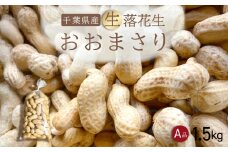 【先行受付・9月上旬より順次発送！】おおまさり 生落花生 1.5kg／ふるさと納税 落花生 生 生落花生 おおまさり 生おおまさり A品 大粒 希少 旬 季節限定 ふっくら 柔らか ほくほく 甘い 塩ゆで 千葉県 山武市 SMAH009