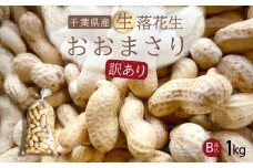 【先行受付・9月上旬より順次発送！】【訳あり】おおまさり 生落花生 1kg ／ふるさと納税 落花生 生 生落花生 おおまさり 生おおまさり B品 訳あり 訳アリ 大粒 希少 旬 季節限定 ふっくら 柔らか ほくほく 甘い 塩ゆで 千葉県 山武市 SMAH011
