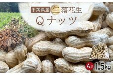 【先行受付・9月上旬より順次発送！】Qナッツ 生落花生 1.5kg  ／ふるさと納税 落花生 生 生落花生 Qナッツ Qなっつ A品 新品種 希少 旬 季節限定 あっさり 香ばしい 甘い 塩ゆで おやつ おつまみ 千葉県 山武市 SMAH014