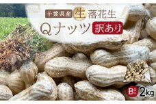 【先行受付・9月上旬より順次発送！】【訳あり】Qナッツ 生落花生 2kg ／ふるさと納税 落花生 生 生落花生 Qナッツ Qなっつ 新品種 希少  訳あり 訳アリ 家庭用 お徳用 旬 季節限定 あっさり 香ばしい 甘い 塩ゆで おやつ おつまみ 千葉県 山武市 SMAH016