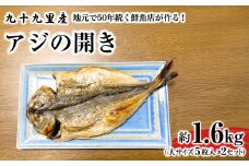 地元で50年続く鮮魚店が作る、九十九里産アジの開き（５枚入り×２セット） ふるさと納税 人気 おすすめ ランキング イワシ 鰯 魚 鮮魚 海鮮 アジ 干物 干し 焼き 加工品 惣菜 千葉県 山武市 送料無料 SMBL004