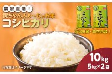 【先行予約2025年10月上旬から発送開始】コシヒカリ　10kg（5kg×2袋）令和7年産　 【 ふるさと納税 人気 おすすめ ランキング 米 精米 白米 お米 こしひかり コシヒカリ 千葉県 山武市 送料無料 】SMBX004