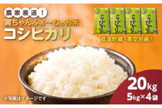 【先行予約2025年10月上旬から発送開始】コシヒカリ　20kg（5kg×4袋）令和7年産 　【 ふるさと納税 人気 おすすめ ランキング 米 精米 白米 お米 こしひかり コシヒカリ 千葉県 山武市 送料無料 】SMBX006