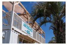 ASOBEACH 愛犬と過ごす海の家 VIP席半分貸切(最大8名)　ふるさと納税 チケット 旅行 ペット わんちゃん ドッグラン＆WAN アンドワン 犬 いぬ イヌ 海の家 九十九里 千葉県 山武市 SMU014
