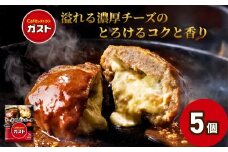 すかいらーく ガストチーズINハンバーグ5個 【ふるさと納税 人気 おすすめ ランキング ハンバーグ チーズ すかいらーく ガスト チーズINハンバーグ 湯煎 温めるだけ 簡単 小分け 個包装 おかず 惣菜 簡単調理 湯せん レトルト 千葉県 山武市 送料無料】SMCR001