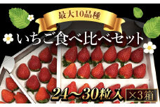 【先行予約】【2026年1月中旬より順次発送】いちご食べ比べセット（最大10品種の食べ比べ） SMAN004
