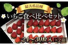 【先行予約】【2026年1月中旬より順次発送】いちご食べ比べセット（最大6品種の食べ比べ） SMAN064