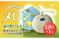 【先行予約】【6月上旬～中旬発送予定】道の駅でも大人気! 糖度の高さとすっきりとした甘みが特徴! 太田農園のメロン 1.8kg以上×1玉 SMBW001