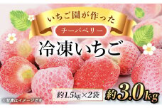 【希少品種】冷凍いちご(チーバベリー)約3kg SMAN011