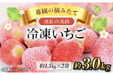【希少品種】冷凍いちご(真紅の美鈴)約3kg SMAN012