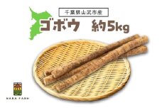 ゴボウ 約5kg【 ふるさと納税 人気 おすすめ ランキング ゴボウ ごぼう 牛蒡 根菜 千葉県 山武市 送料無料 】 SMAF002