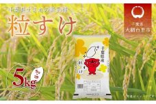 【新米 先行受付】令和7年産 千葉県産「粒すけ」5kg（5kg×1袋） お米 5kg 千葉県産 大網白里市 粒すけ 米 精米 こめ 送料無料 A053