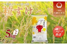 【新米】令和7年産 千葉県産「粒すけ」5kg（5kg×1袋） お米 5kg 千葉県産 大網白里市 粒すけ 米 精米 こめ 送料無料 A053