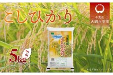 【新米 先行受付】令和7年産 千葉県産「コシヒカリ」5kg（5kg×1袋） お米 5kg 千葉県産 大網白里市 コシヒカリ 米 精米 こめ 送料無料 A054