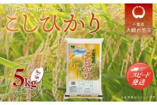 【新米】令和7年産 千葉県産「コシヒカリ」5kg（5kg×1袋） お米 5kg 千葉県産 大網白里市 コシヒカリ 米 精米 こめ 送料無料 A054