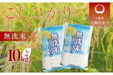 【新米 先行受付】令和7年産 千葉県産「コシヒカリ」無洗米 10kg（5kg×2袋） ふるさと納税 米 無洗米 コシヒカリ こしひかり 千葉県 大網白里市 A057