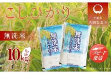 【新米】令和7年産 千葉県産「コシヒカリ」無洗米 10kg（5kg×2袋） ふるさと納税 米 無洗米 コシヒカリ こしひかり 千葉県 大網白里市 A057