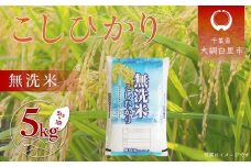 【新米 先行受付】令和7年産 千葉県産「コシヒカリ」無洗米 5kg（5kg×1袋） ふるさと納税 米 無洗米 コシヒカリ こしひかり 千葉県 大網白里市 A056
