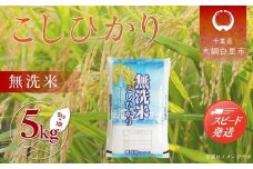 【新米】令和7年産 千葉県産「コシヒカリ」無洗米 5kg（5kg×1袋） ふるさと納税 米 無洗米 コシヒカリ こしひかり 千葉県 大網白里市 A056