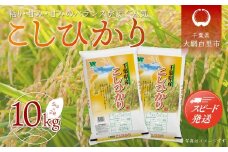【新米】令和7年産 千葉県産「コシヒカリ」10kg（5kg×2袋） お米 10kg 千葉県産 大網白里市 コシヒカリ 米 精米 こめ 送料無料 A055