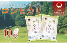 令和6年産 千葉県大網白里市萱野地区産「コシヒカリ」10kg（5kg×2袋） お米 10kg 千葉県産 大網白里市 コシヒカリ 米 精米 こめ 送料無料 A001