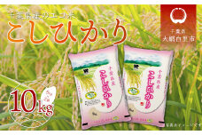 令和6年産 千葉県産エコ米「コシヒカリ」10kg（5kg×2袋） お米 10kg 千葉県産 大網白里市 コシヒカリ エコ米 米 精米 こめ 送料無料