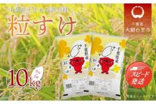 令和7年産 千葉県産「粒すけ」10kg（5kg×2袋） お米 10kg 千葉県産 大網白里市 粒すけ 米 精米 こめ 送料無料 A006