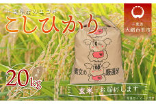 令和6年産 千葉県産エコ米「コシヒカリ」玄米20kg（20kg×1袋） お米 20kg 千葉県産 大網白里市 コシヒカリ エコ米 米 玄米 こめ 送料無料