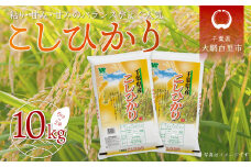 令和6年産 千葉県産「コシヒカリ」10kg（5kg×2袋） お米 10kg 千葉県産 大網白里市 コシヒカリ 米 精米 こめ 送料無料 A011