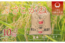 令和6年産 千葉県産「ふさこがね」玄米10kg（10kg×1袋） ふるさと納税 玄米 10kg 千葉県産 大網白里市 ふさこがね 米 こめ 送料無料
