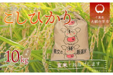 令和6年産 千葉県産エコ米「コシヒカリ」玄米10kg（10kg×1袋） ふるさと納税 玄米 10kg 千葉県産 大網白里市 コシヒカリ エコ米 米 こめ 送料無料
