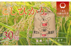 令和6年産 千葉県産エコ米「コシヒカリ」玄米30kg（30kg×1袋） ふるさと納税 玄米 30kg 千葉県産 大網白里市 コシヒカリ エコ米 米 こめ 送料無料