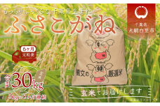 ＜6ヶ月定期便＞千葉県産「ふさこがね」玄米5kg×6ヶ月連続 計30kg ふるさと納税 玄米 定期便 5kg ふさこがね 千葉県 大網白里市 送料無料