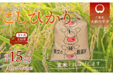 ＜3ヶ月定期便＞千葉県産エコ米「コシヒカリ」玄米5kg×3ヶ月連続 計15kg ふるさと納税 玄米 定期便 5kg コシヒカリ エコ米 米 千葉県 大網白里市 送料無料
