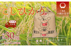 ＜6ヶ月定期便＞千葉県産エコ米「コシヒカリ」玄米5kg×6ヶ月連続 計30kg ふるさと納税 玄米 定期便 5kg コシヒカリ エコ米 米 千葉県 大網白里市 送料無料