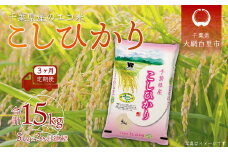 ＜3ヶ月定期便＞千葉県産エコ米「コシヒカリ」5kg×3ヶ月連続 計15kg ふるさと納税 米 定期便 5kg コシヒカリ エコ米 千葉県 大網白里市 送料無料