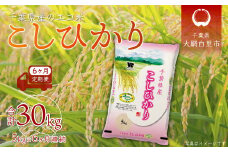 ＜6ヶ月定期便＞千葉県産エコ米「コシヒカリ」5kg×6ヶ月連続 計30kg ふるさと納税 米 定期便 5kg コシヒカリ エコ米 千葉県 大網白里市 送料無料
