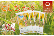 令和6年産 千葉県産「コシヒカリ」20kg（5kg×4袋） ふるさと納税 米 20kg コシヒカリ 千葉県 大網白里市 送料無料