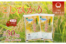 【2025年10月より発送開始】＜3ヶ月定期便＞ 令和7年産 千葉県産「コシヒカリ」10kg×3ヶ月連続 計30kg ふるさと納税 米 定期便 10kg コシヒカリ 千葉県 大網白里市 送料無料 A027