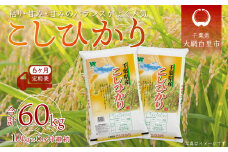 ＜6ヶ月定期便＞千葉県産「コシヒカリ」10kg×6ヶ月連続 計60kg ふるさと納税 米 定期便 10kg コシヒカリ 千葉県 大網白里市 送料無料