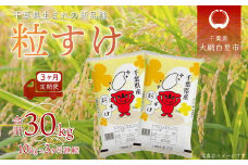 【2025年10月より発送開始】＜3ヶ月定期便＞ 令和7年産 千葉県産「粒すけ」10kg×3ヶ月連続 計30kg ふるさと納税 米 定期便 10kg 粒すけ 千葉県 大網白里市 送料無料 A031
