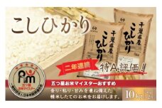 令和6年産 2年連続特A評価!千葉県産コシヒカリ10kg（5kg×2袋） お米 10kg 千葉県産 大網白里市 コシヒカリ 米 精米 こめ 送料無料