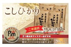 令和6年産 2年連続特A評価!千葉県産コシヒカリ20kg（5kg×4袋） お米 20kg 千葉県産 大網白里市 コシヒカリ 米 精米 こめ 送料無料