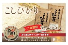 令和7年産 2年連続特A評価!千葉県産コシヒカリ10kg（5kg×2袋） 【 お米 10kg 千葉県産 大網白里市 コシヒカリ 米 精米 こめ 送料無料 】 E024