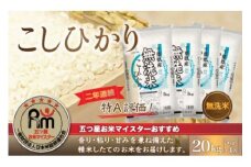 令和6年産 2年連続特A評価!千葉県産コシヒカリ20kg無洗米（5kg×4袋） 無洗米 20kg 千葉県産 大網白里市 コシヒカリ お米 米 こめ 送料無料