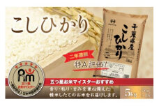 令和6年産 2年連続特A評価!千葉県産コシヒカリ5kg（5kg×1袋） ふるさと納税 米 5kg 千葉県産 大網白里 コシヒカリ 精米 こめ 送料無料